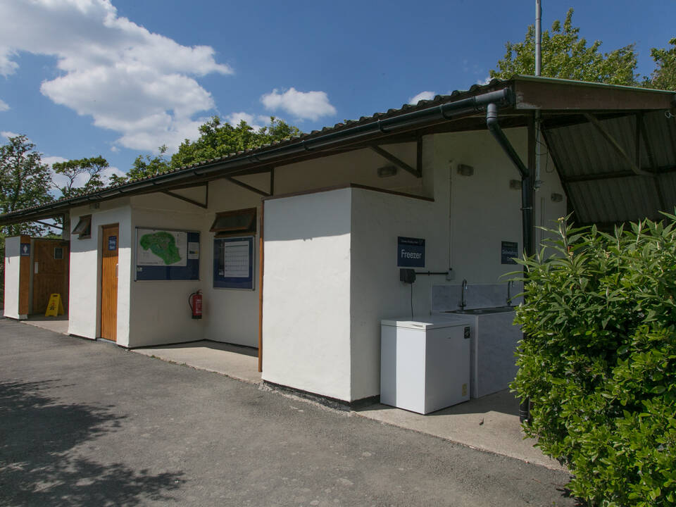 2025 Purple Showerblock